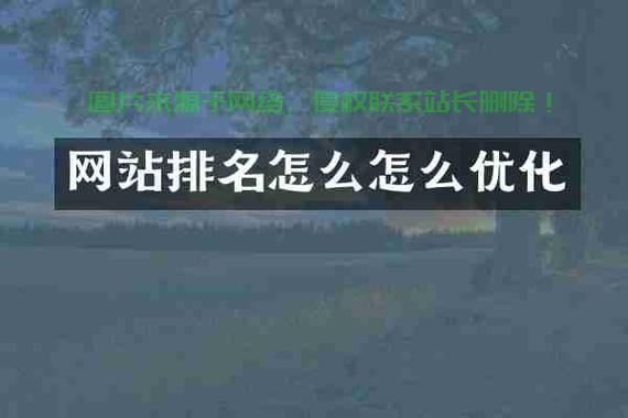 网站排名飙升的秘密武器，优化利器软件揭秘！ 第3张
