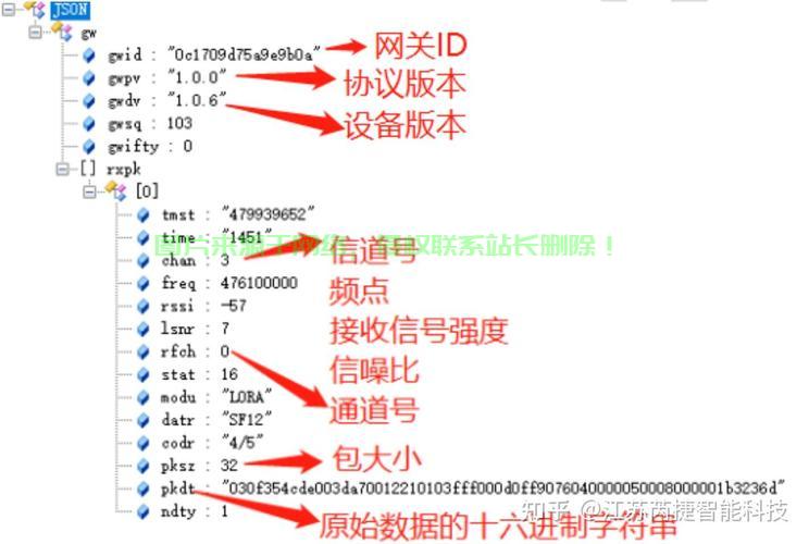 json服务器端怎么配置? 第2张