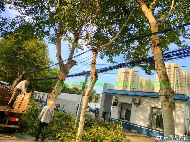 荷花街电信机房在哪里？ 第2张