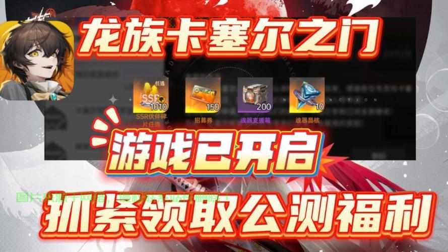 怎么加龙族的服务器? 第3张