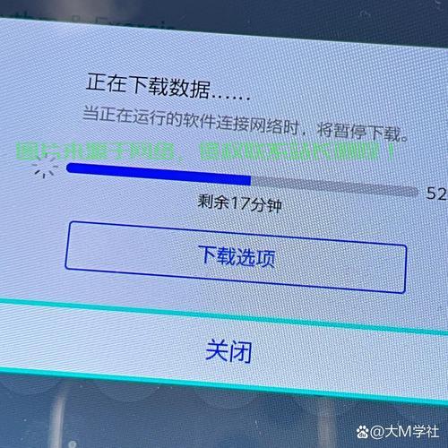 DNS下载全攻略，步骤、方法与重点详解！ 第3张