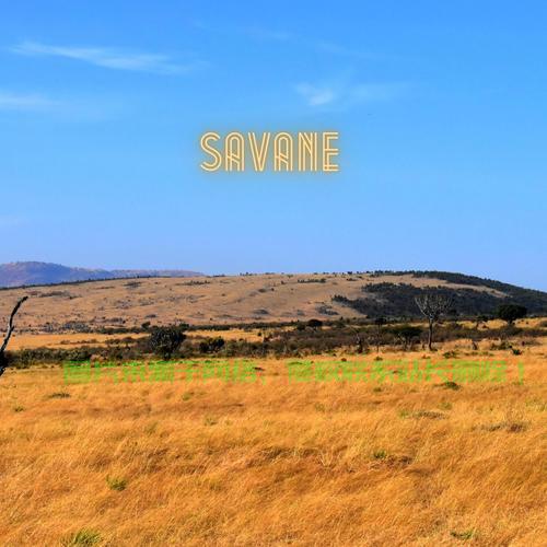 轻松下载sav文件的方法指南 第1张