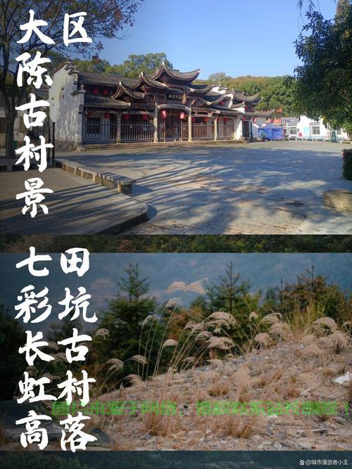 陈氏下载宝典，轻松获取所需文件指南 第2张