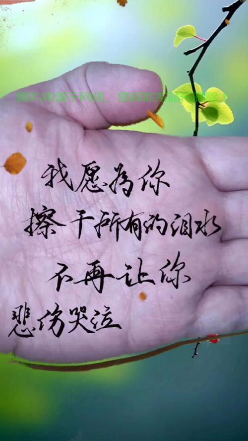 悲哭下载指南，详细步骤教你轻松获取资源！ 第2张