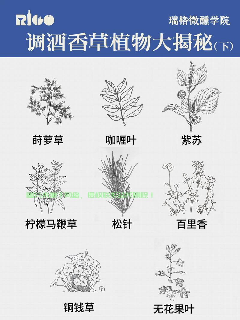 轻松上手香草下载攻略,一步到位下载指南! 第2张 轻松上手香草下载攻略,一步到位下载指南! 第2张