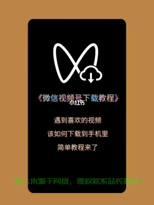 速康宝视频下载攻略,轻松掌握下载技巧! 第2张 速康宝视频下载攻略,轻松掌握下载技巧! 第2张