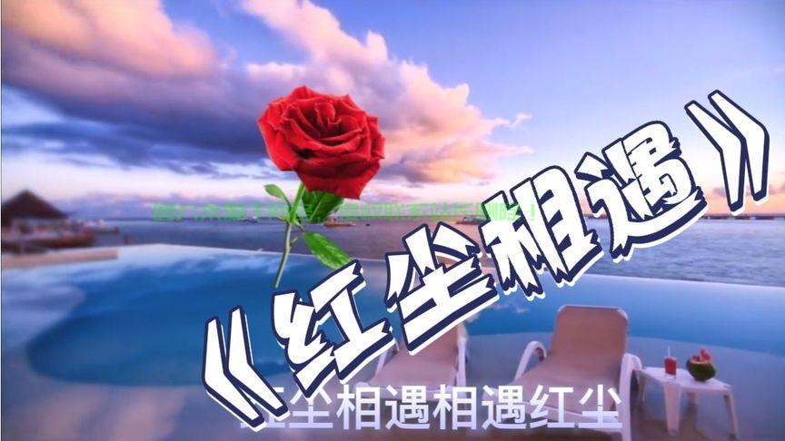 轻松上手相遇视频下载全攻略,步骤解析一键搞定! 第2张 轻松上手相遇视频下载全攻略,步骤解析一键搞定! 第2张