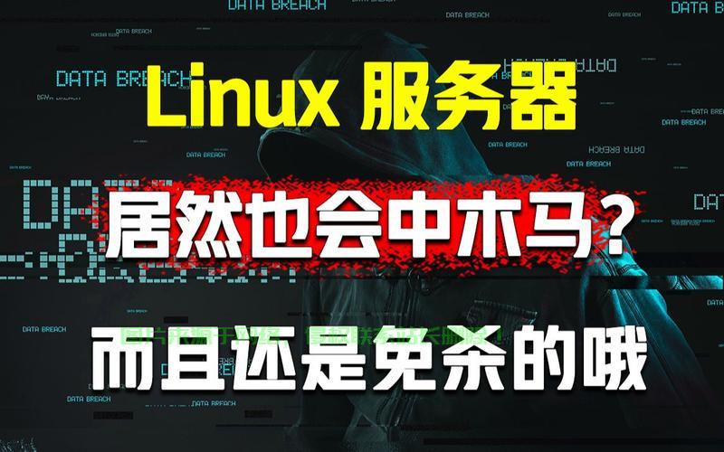 黑建筑服务器崩了怎么解决? 第1张