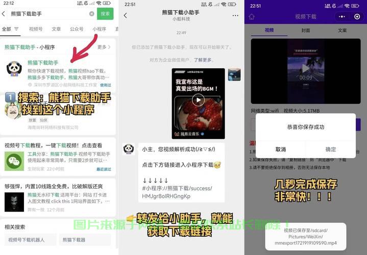 轻松掌握视频号下载技巧，详细攻略助你快速下载程序 第2张