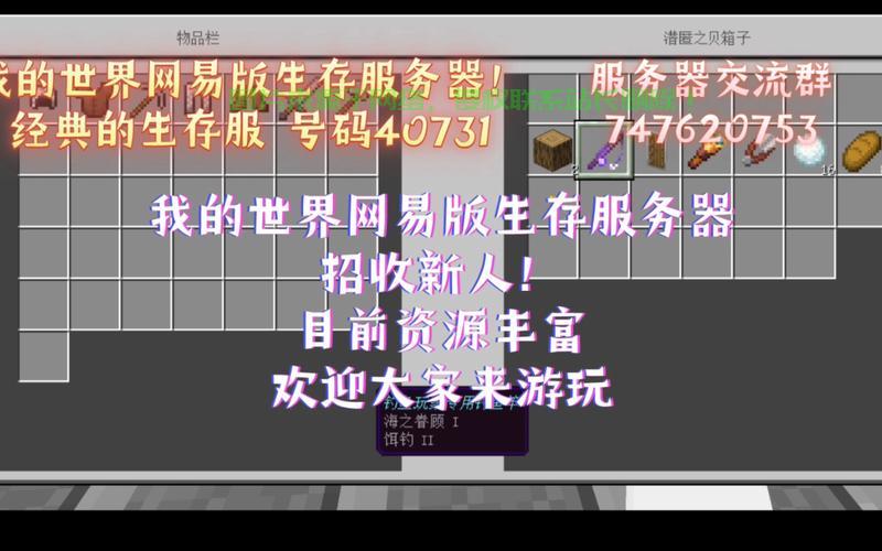 网易服务器怎么查询账号? 第1张