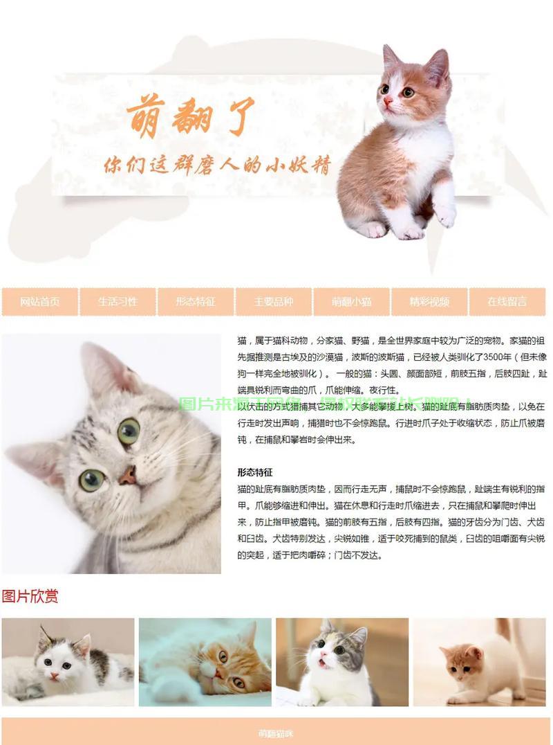 揭秘网页代理源码,轻松构建高效代理服务器! 第3张 揭秘网页代理源码,轻松构建高效代理服务器! 第3张