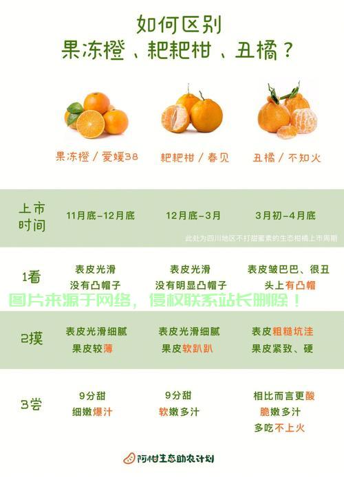 怎么看橘子服务器名称? 第1张