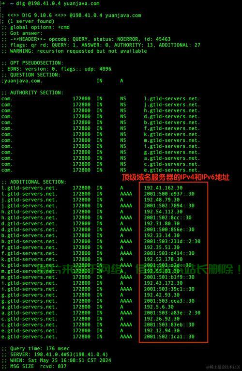 怎么填写首选dns服务器? 第3张