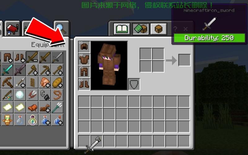 minecraft服务器怎么装材质包? 第2张