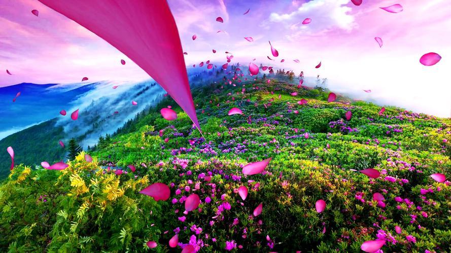 Win10花映魅力,全新功能体验深度揭秘! 第1张 Win10花映魅力,全新功能体验深度揭秘! 第1张