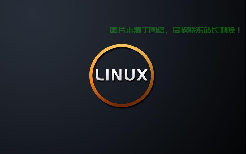 Linux宿主深度解析,概念与应用探索 - 技术分享 - 云服务器