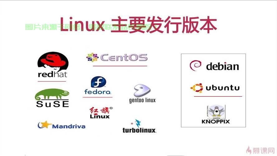 Linux知识深度解析，两大分支对比与探索之旅 - 技术分享 - 云服务器