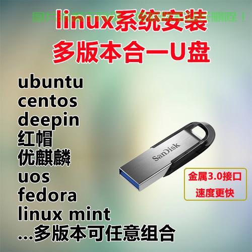 Linux系统下如何从U盘启动,详细指南与步骤解析 第1张 Linux系统下如何从U盘启动,详细指南与步骤解析 第1张