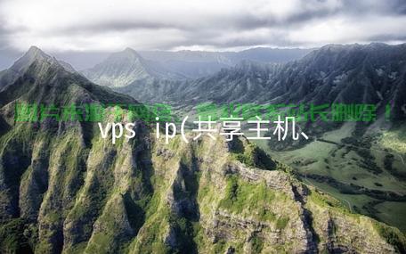 揭秘VPS的独立IP身份，虚拟专用服务器的网络身份解析 第1张