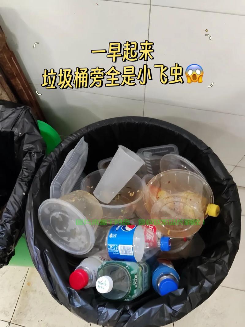 揭秘真相,关于80vps的真相解析,究竟是否名副其实? 第2张 揭秘真相,关于80vps的真相解析,究竟是否名副其实? 第2张