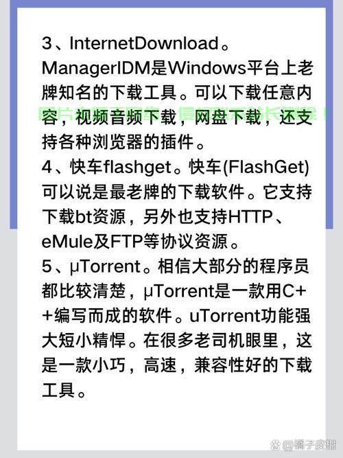 磁链下载神器与VPS使用指南，高效下载秘籍 第2张