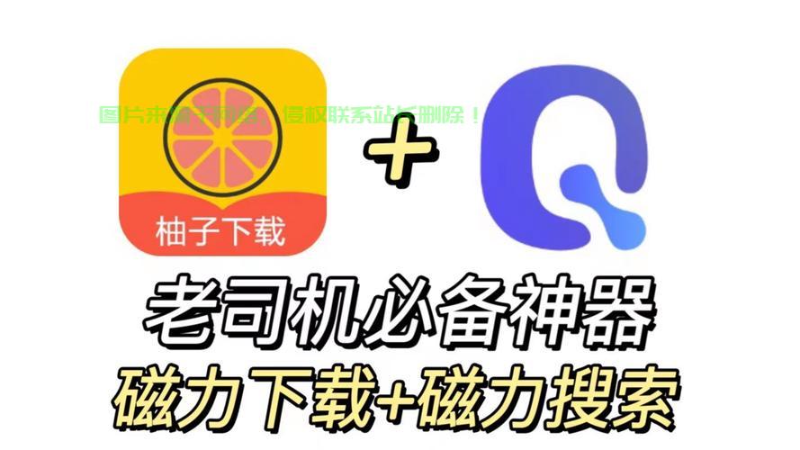 磁链下载神器与VPS使用指南，高效下载秘籍 第1张