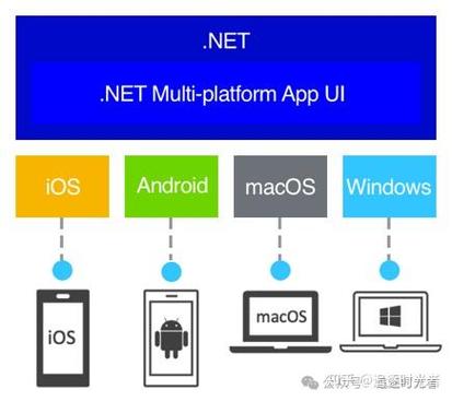 揭秘he.net VPS，高效稳定的网络首选！ 第2张
