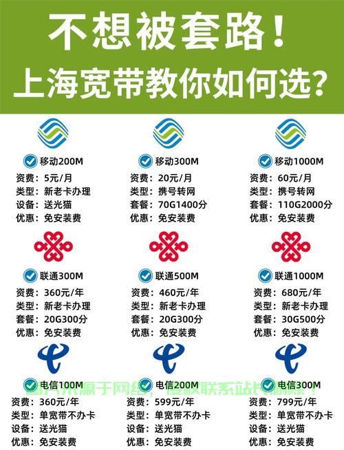 独家推荐,极速超大宽带VPS,体验无与伦比的极速网络之旅! 第3张 独家推荐,极速超大宽带VPS,体验无与伦比的极速网络之旅! 第3张