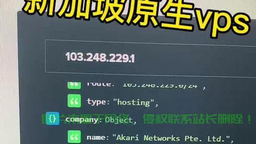 稳定高效的新加坡VPS服务，首选网络伙伴，助力您的网络需求！ 第3张