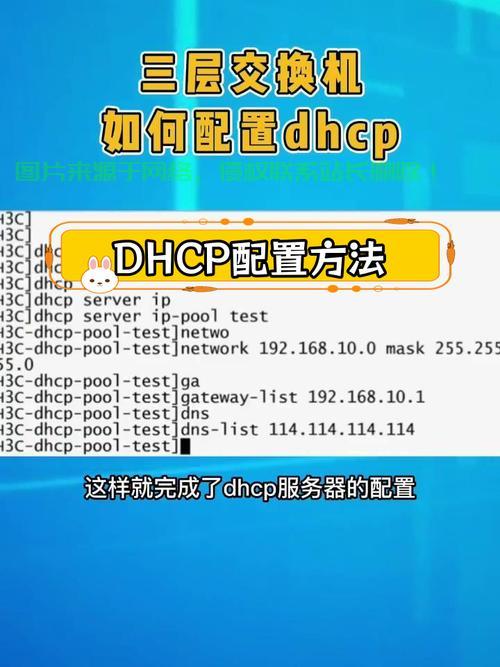 SwapIDC对接VPS，高效互通轻松达成！ 第2张