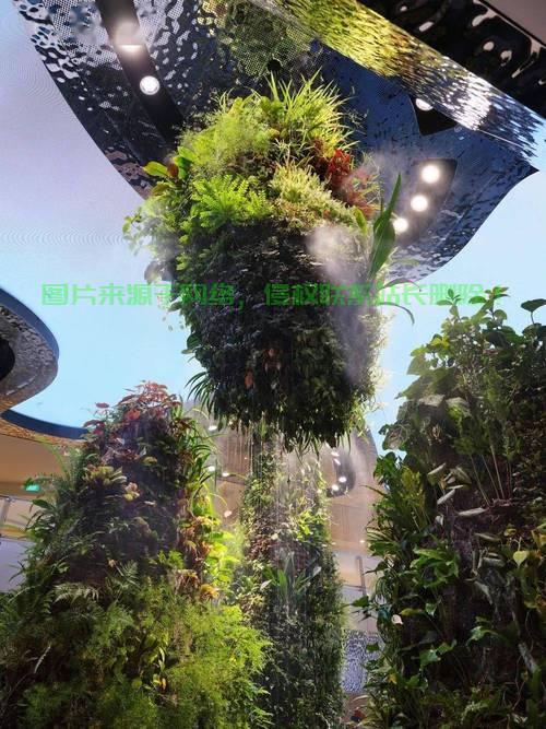 新加坡极速VPS落地机，畅享无阻的网络畅游体验 第3张