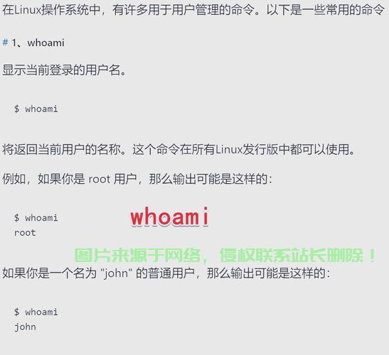 Linux下ProFTPD用户管理详解，如何在Linux中高效管理ProFTPD用户？，如何在Linux中一键搞定ProFTPD用户管理？ 第2张