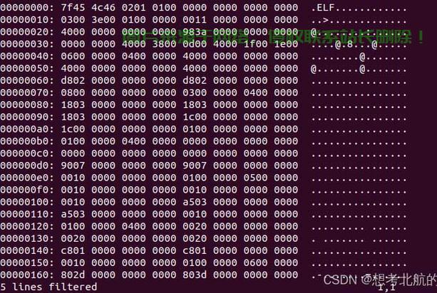 在 Linux 中查看二进制文件有多种方法，以下是常用的工具和操作示例，如何在Linux中轻松查看二进制文件？这5种方法你试过吗？，Linux高手必备，这5种查看二进制文件的神器，你用过几种？ 第1张