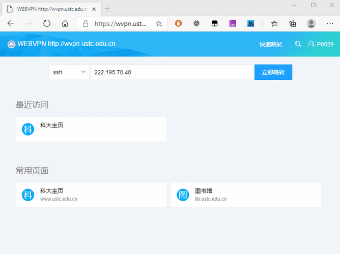 VPS访问谷歌，无障碍连接轻松实现！ 第2张