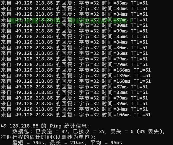 独家揭秘，VPS延迟大比拼，谁领风骚？ 第3张