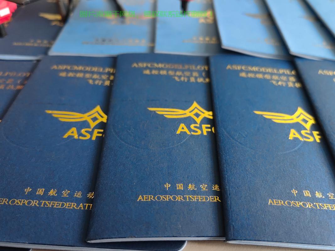 揭秘，ASF挂卡VPS的使用指南及优势分析 第2张