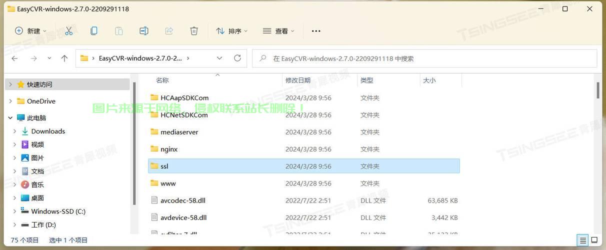 VPS编程深度解析，实现方法、优势揭秘与实战经验分享 第1张