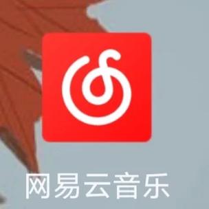 VPS网易云解锁秘籍，畅享音乐之旅无阻碍 第2张