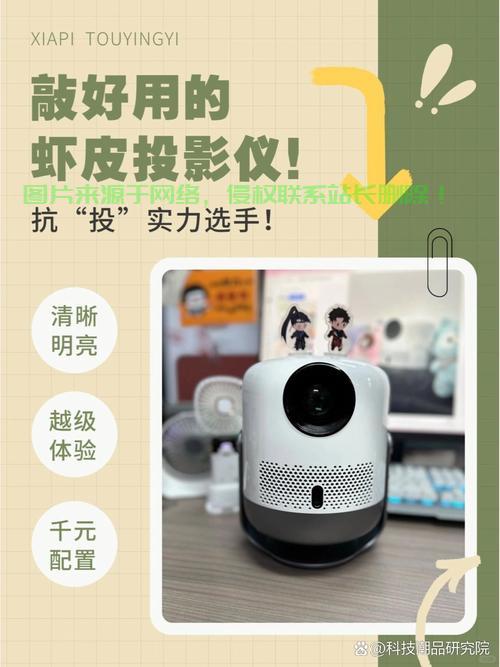 揭秘虾皮运营是否依赖VPS，真相大揭秘！ 第1张