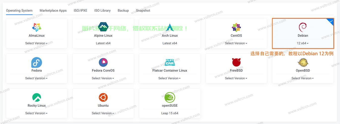 Vultr与AWS VPS，性能与优势全面解析对比 第2张