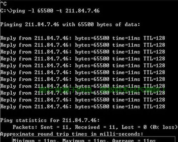VPS Ping测试大解析,揭秘网络延迟与稳定性的核心指标 第1张 VPS Ping测试大解析,揭秘网络延迟与稳定性的核心指标 第1张