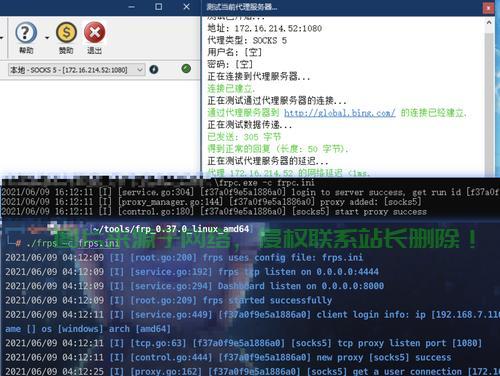 揭秘，FRP如何通过VPS实现流量优化与管理大解析！ 第2张