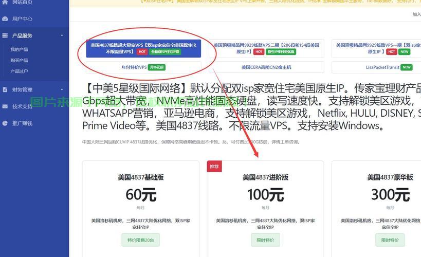 美国VPS出口IP探秘，全球网络连接的幕后真相 第2张