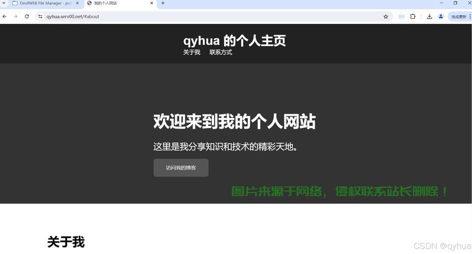 广告账户VPS托管，安全高效操作指南 第2张