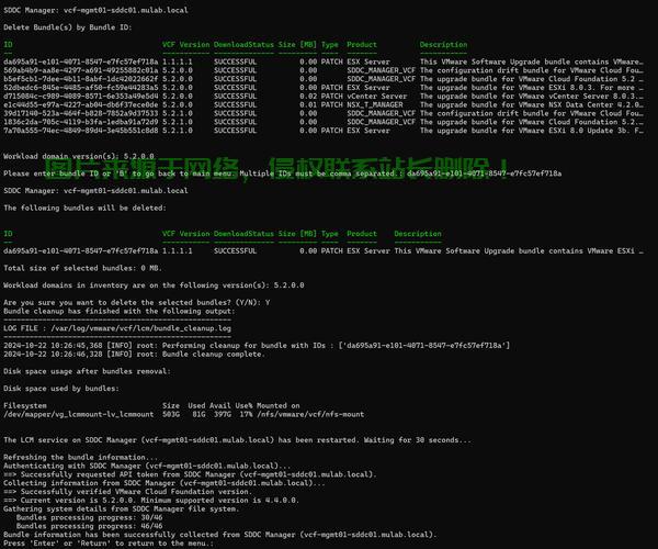 Linux VPS自动化备份实战指南，轻松构建备份解决方案 第3张