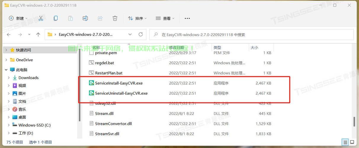 VPS远程管理，云端控制的高效之道 第3张