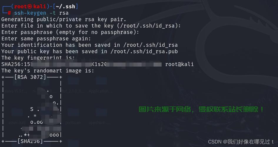 SSH登录VPS故障解析，无法登录的终极解决方案 第1张