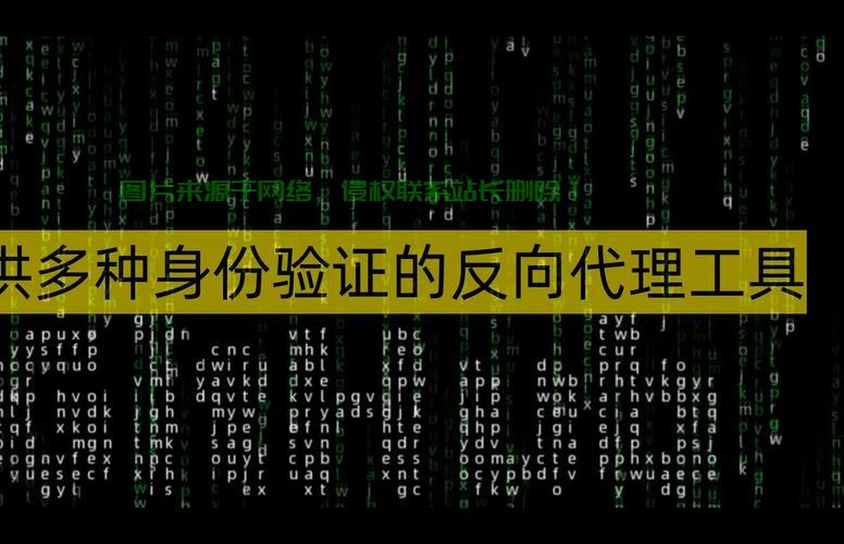 VPS反向代理,优势解析与设置实操指南 第2张 VPS反向代理,优势解析与设置实操指南 第2张