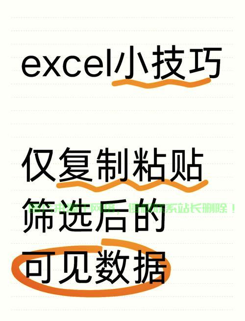 VPS复制粘贴操作详解,轻松解决粘贴难题! 第1张 VPS复制粘贴操作详解,轻松解决粘贴难题! 第1张