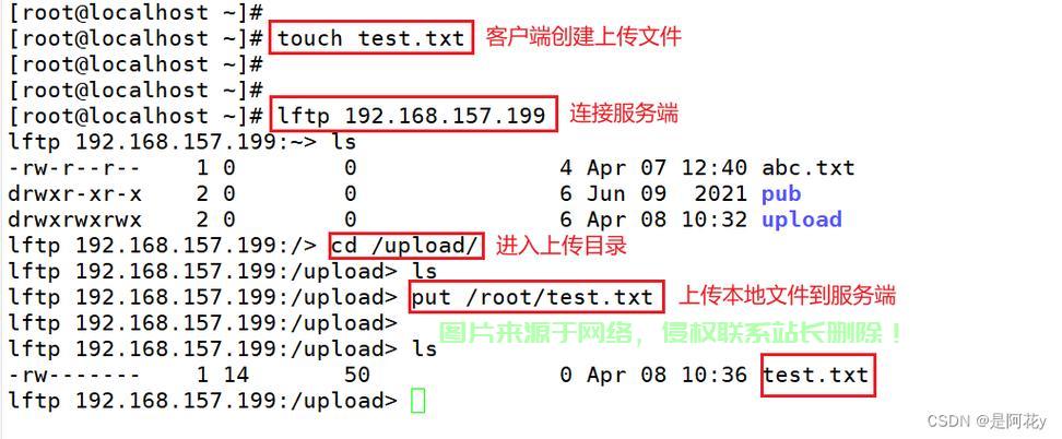 Linux下查询FTP服务的完全指南，如何在Linux系统中高效查询和管理FTP服务？，Linux系统如何一键查询并高效管理FTP服务？ 第2张